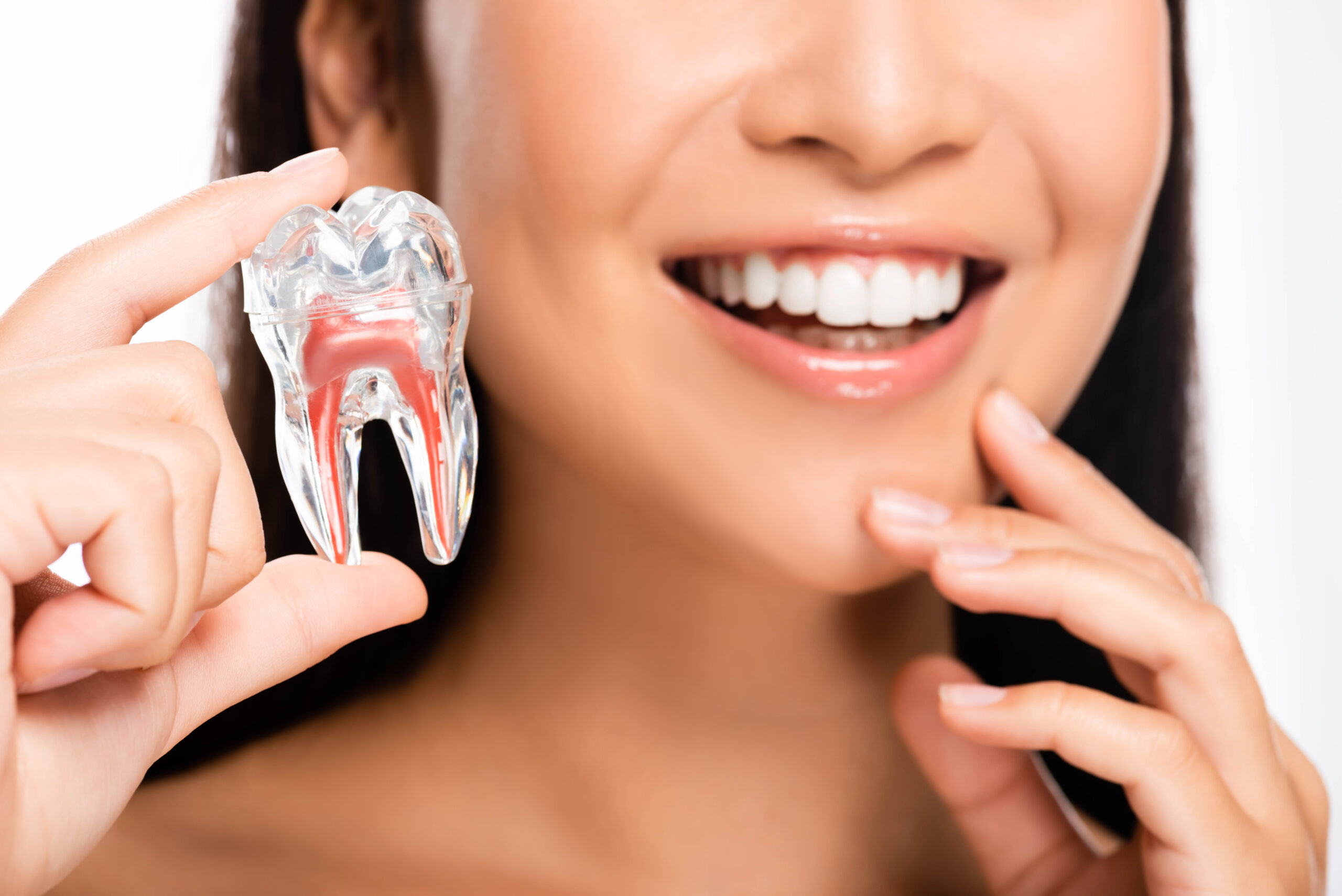 endodonzia